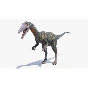 3D model Coelophysis